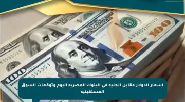 أسعار الدولار مقابل الجنيه في البنوك المصرية اليوم وتوقعات السوق المستقبلية